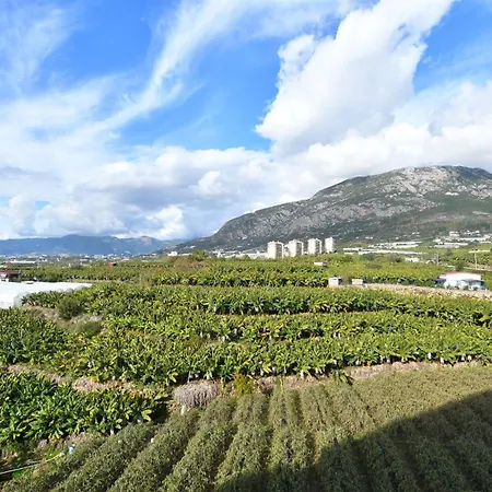 0032 Exodus Comfortable Furnished Flat In A Well-equipped Residential Complex Alanya